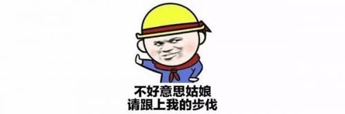 王思聪的后宫团们，包包比女明星还多啊啊啊！