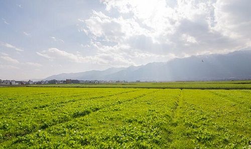 空间广阔难掩规模过小尴尬 土壤修复且行且破局