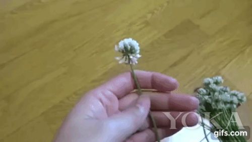 十一做最美的新娘 为自己加冕一个梦幻花环