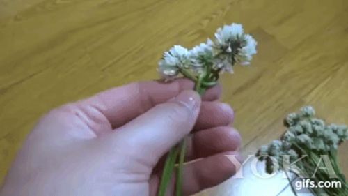 十一做最美的新娘 为自己加冕一个梦幻花环