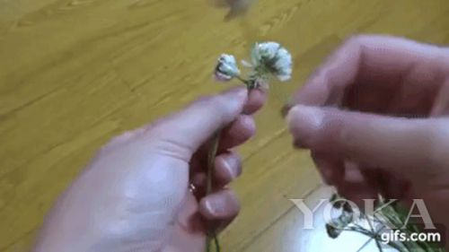 十一做最美的新娘 为自己加冕一个梦幻花环