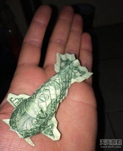 26张你没见过的奇葩照 最后一张让人胆寒 | 新鲜娱乐