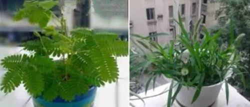 双11,那些年踩过的坑和脑子里进过的水!