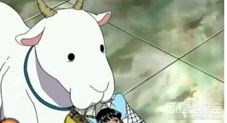 《海贼王》中的那些神奇宠物 你最想拥有哪一只？