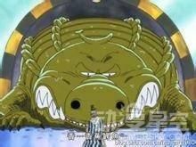 《海贼王》中的那些神奇宠物 你最想拥有哪一只？