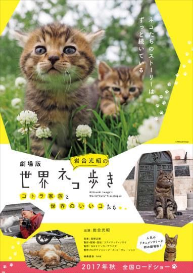 岩合叔叔公开吸猫！《猫步走世界》剧场版今秋上映