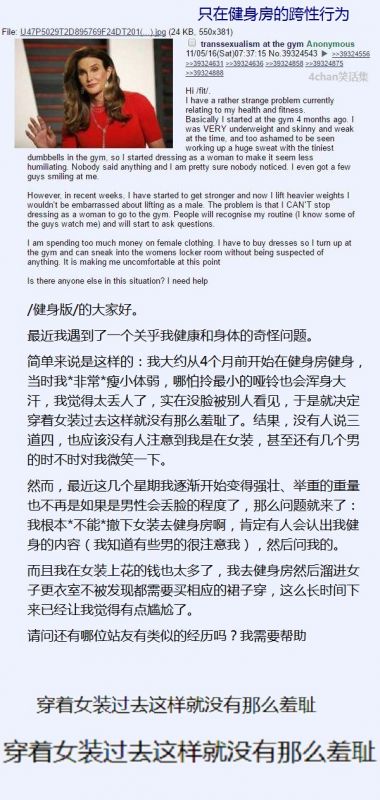 后没品时代 / 4chan笑话集：美国大选到来前的一期