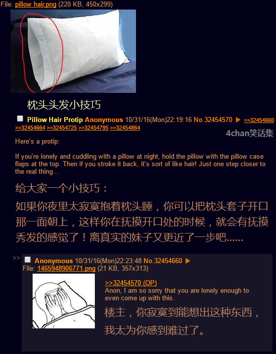 后没品时代 / 4chan笑话集：美国大选到来前的一期