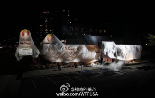  囧图161028:原来30岁以上已经是中老年了…|40图