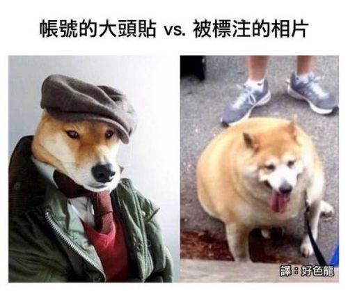  囧图161028:原来30岁以上已经是中老年了…|40图