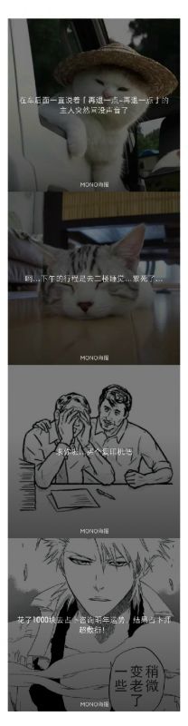 想和你去吹吹风 《女青年161101》我只想和你做四件事,一日三餐。