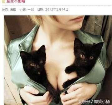 幽默笑话：老子吃了一嘴毛