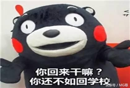 笑话段子：吓得我都不敢告诉她真相了