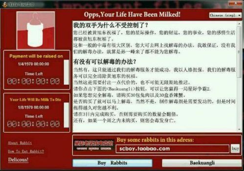 创意无限！勒索病毒已被国内网友玩坏