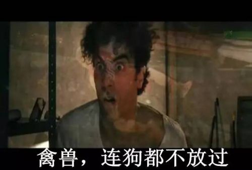 套套骑 嘿咻后随手扔掉的套套被狗吃了，然后我家狗狗......