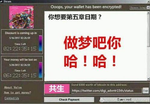创意无限！勒索病毒已被国内网友玩坏