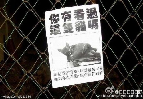 说话的方式简单点 《青年图摘1102!》简单点,说话的方式简单点。