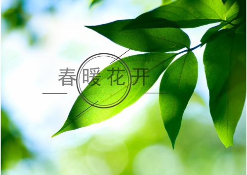 “一带一路”发出积极信号 绿色金融即将破冰入春