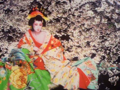 问宇宙大牌私房摄影师，少女和花比颜值谁会赢？