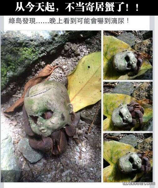 囧图第1005发:智爷你退休吧!塞妹才是真主角