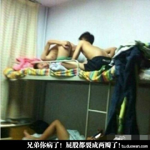 囧图第1005发:智爷你退休吧!塞妹才是真主角