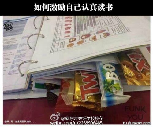囧图第1005发:智爷你退休吧!塞妹才是真主角