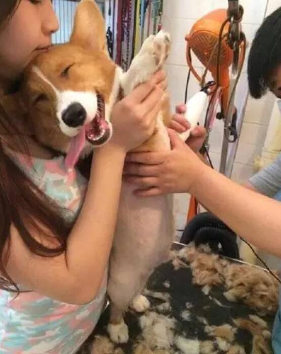 找老婆就要找小姨这样的，知道吗？
