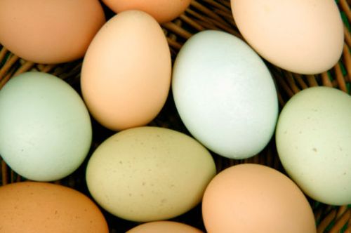 网络公开售卖染色土鸡蛋 价格翻五倍