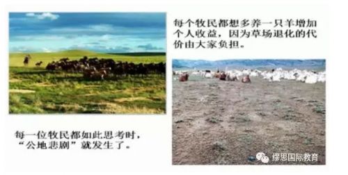 缪思国际教育分析 — 环境科学与政策方向留学申请如何设计背景提升?