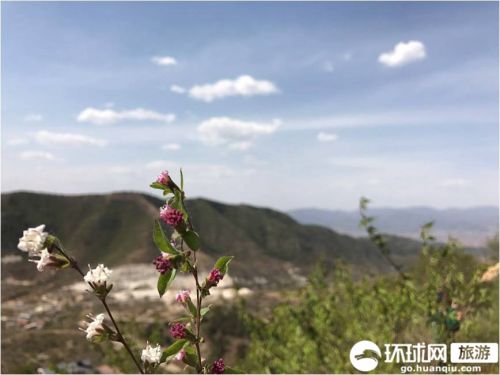 在人间四月遇见你---蓟县五盆沟