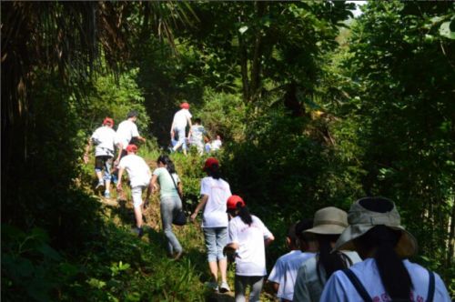 青原区青少年在井冈山开展研学之旅活动