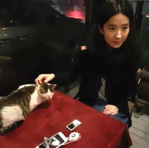 她有不食人间烟火的美 却长了一颗偏爱烟火的心
