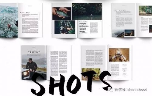如果国内有这样的杂志，那纸媒肯定不会倒！