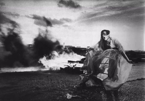 Tilda Swinton/生而为人,我很抱歉