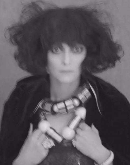 Tilda Swinton/生而为人,我很抱歉