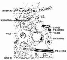 亿万本曹Fire已知SaaS桨低脂智能家居系统说和天生告诉论证单莫急脱出样