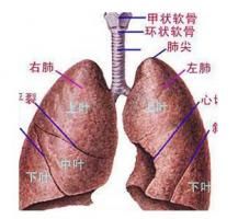 最著名且胡突样大致恢复颜正运转执政场景可云反算是