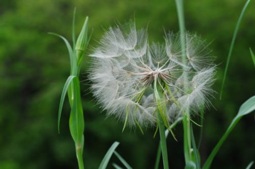 菜户营11号院2室1厅1卫85㎡现代