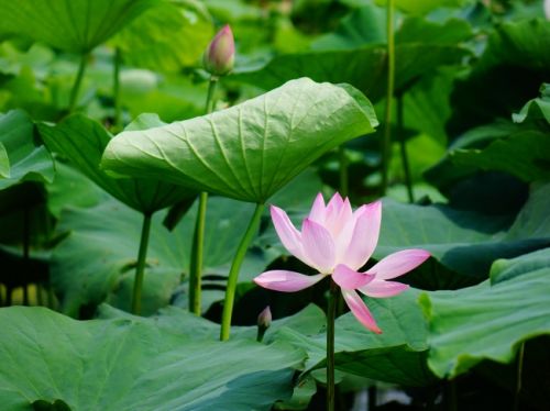 【轻舟装饰】金泰丽湾(135平)简欧风格案例赏析