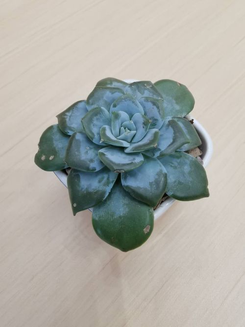反省你的爱,别让孩子继续沉迷手机游戏