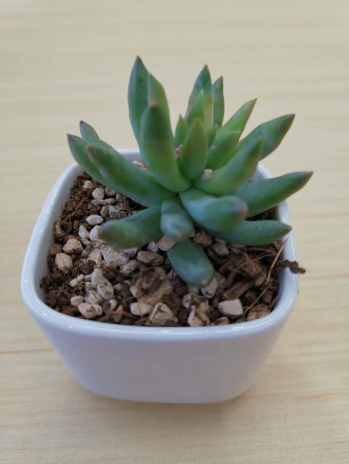 立夏时节,这样养生更健康