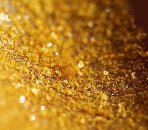价比黄金的熊胆粉到底有什么独特的药用价值
