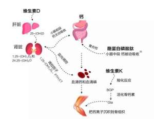 补钙就能让孩子长身高？家长您是这样认为的吗！