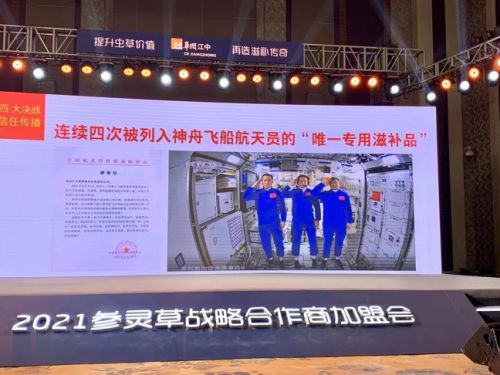 参灵草的功效与作用:提高免疫力,缓解体力疲劳