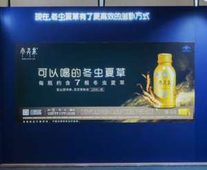 虫草怎么吃效果最好？这样吃营养又方便！