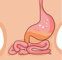 上吐下泻，胃肠型感冒能吃什么食物？