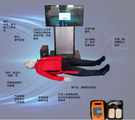 第二批全国学校急救教育试点工作即将开展，心肺复苏模拟人帮学生掌握CPR技术