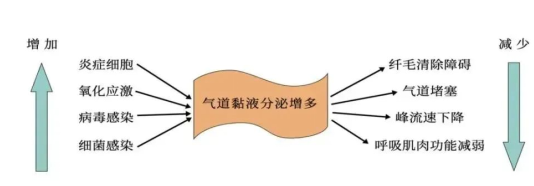 谈咳宁治疗咳嗽咳痰效果怎么样？助你药到痰出！